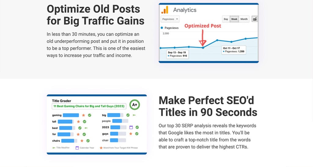 Tool: Streamlined SEO Features- RANKIQ Review.